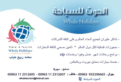 whale travel and tourism